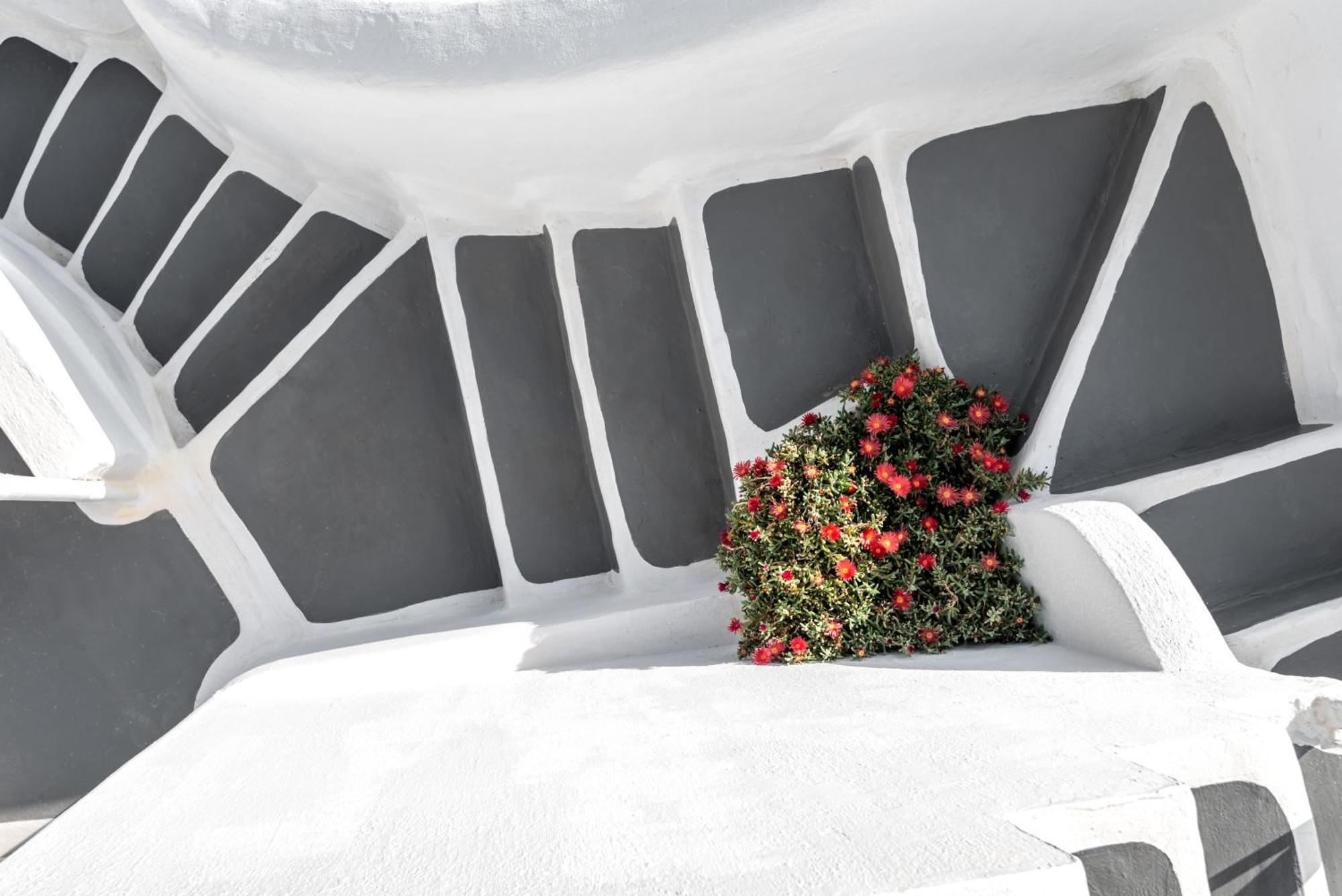 Casa vacanze Diamond Luxury Collection Oia (Santorini)